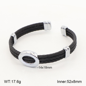 2BA202805ahlv-349  Stainless Steel Bangle