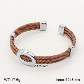 2BA202806ahlv-349  Stainless Steel Bangle