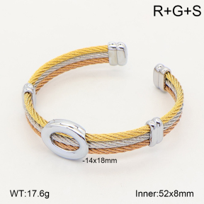 2BA202807ahlv-349  Stainless Steel Bangle