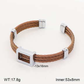 2BA202808ahlv-349  Stainless Steel Bangle