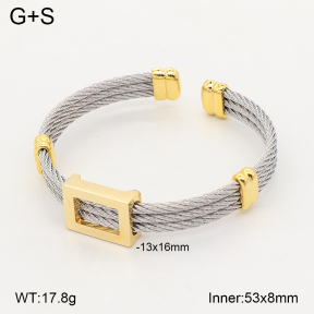2BA202809ahlv-349  Stainless Steel Bangle