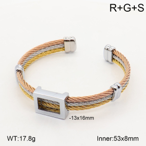 2BA202810ahlv-349  Stainless Steel Bangle
