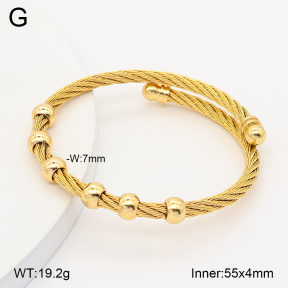 2BA202811vhha-349  Stainless Steel Bangle
