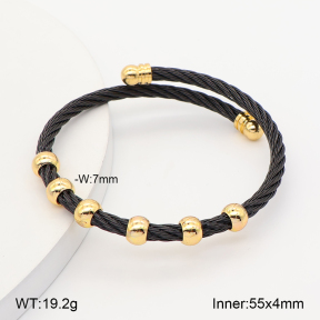 2BA202813vhha-349  Stainless Steel Bangle