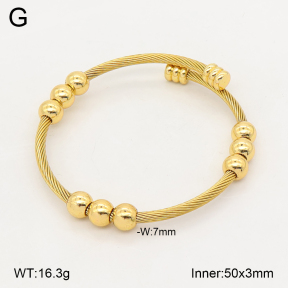 2BA202815bhva-349  Stainless Steel Bangle