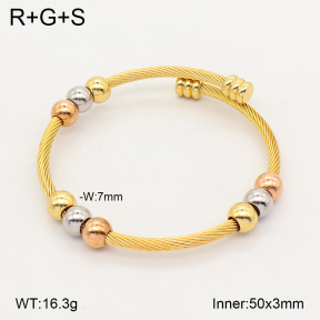 2BA202816bhva-349  Stainless Steel Bangle