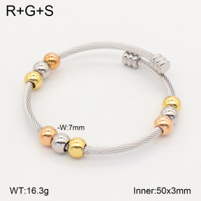 2BA202817bbov-349  Stainless Steel Bangle
