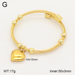 2BA202819bhva-349  Stainless Steel Bangle