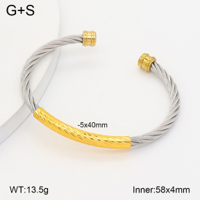 2BA202822bbov-349  Stainless Steel Bangle