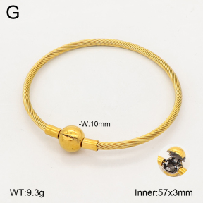 2BA202824bhva-349  Stainless Steel Bangle