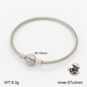 2BA202825bbov-349  Stainless Steel Bangle