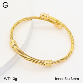 2BA202826bhva-349  Stainless Steel Bangle