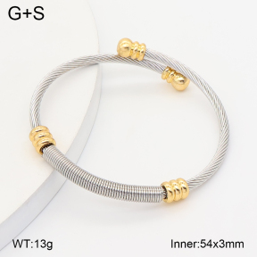 2BA202827vbpb-349  Stainless Steel Bangle