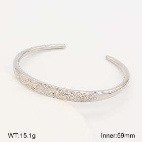 2BA202830biib-226  Stainless Steel Bangle