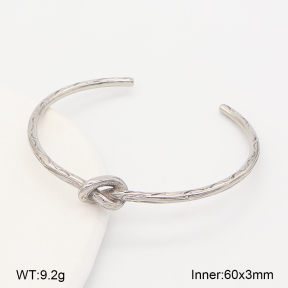 2BA202831biib-226  Stainless Steel Bangle