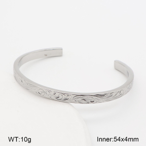 2BA202832biib-226  Stainless Steel Bangle