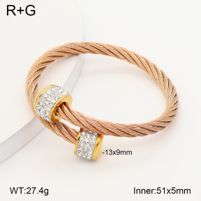 2BA402974bhva-349  Stainless Steel Bangle