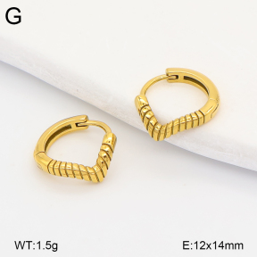 2E2007260vhha-226  Stainless Steel Earrings