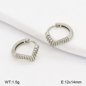 2E2007261vbpb-226  Stainless Steel Earrings