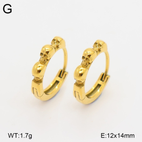 2E2007262bhia-226  Stainless Steel Earrings