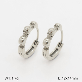 2E2007263bhva-226  Stainless Steel Earrings