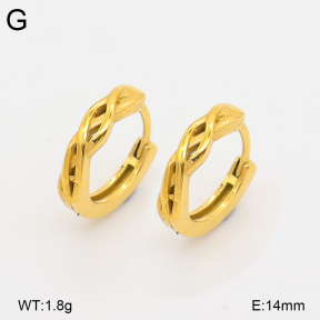 2E2007264vhha-226  Stainless Steel Earrings