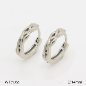 2E2007265vbpb-226  Stainless Steel Earrings