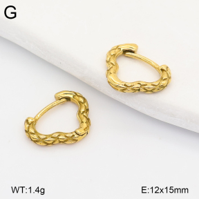 2E2007266vhha-226  Stainless Steel Earrings