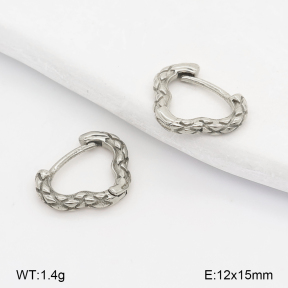 2E2007267vbpb-226  Stainless Steel Earrings