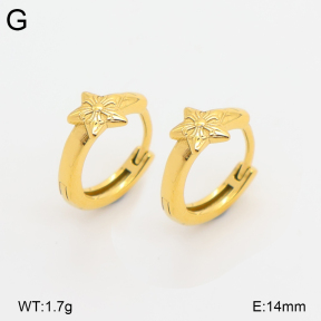 2E2007268vhha-226  Stainless Steel Earrings
