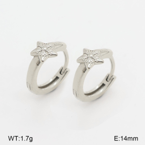 2E2007269vbpb-226  Stainless Steel Earrings