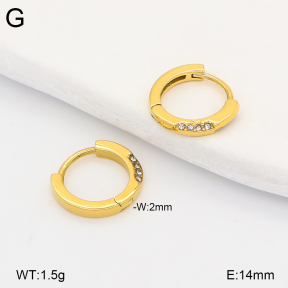2E4005271ahjb-226  Stainless Steel Earrings