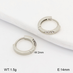 2E4005272vhha-226  Stainless Steel Earrings