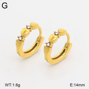 2E4005273ahjb-226  Stainless Steel Earrings