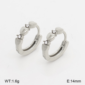 2E4005274vhha-226  Stainless Steel Earrings