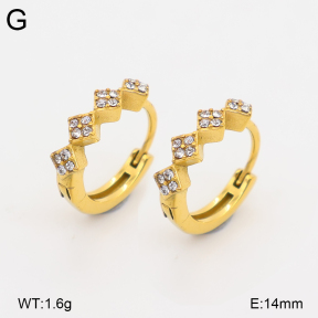 2E4005275vhkb-226  Stainless Steel Earrings