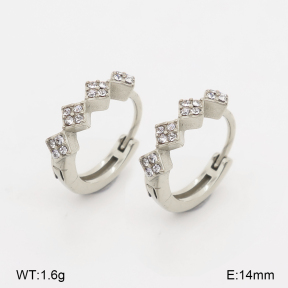 2E4005276bhia-226  Stainless Steel Earrings