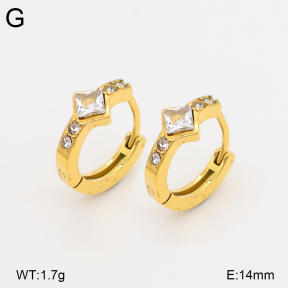 2E4005277vhkb-226  Stainless Steel Earrings
