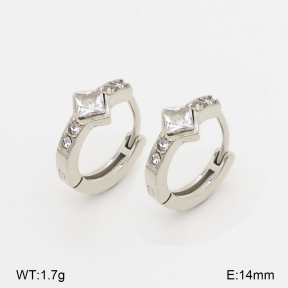 2E4005278bhia-226  Stainless Steel Earrings