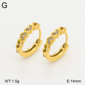 2E4005279vhkb-226  Stainless Steel Earrings