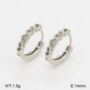 2E4005280bhia-226  Stainless Steel Earrings
