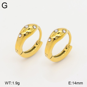 2E4005281ahjb-226  Stainless Steel Earrings
