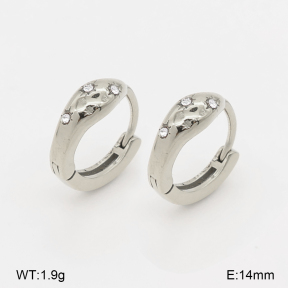 2E4005282vhha-226  Stainless Steel Earrings
