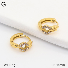 2E4005283ahjb-226  Stainless Steel Earrings