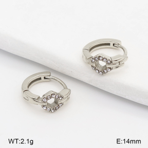 2E4005284vhha-226  Stainless Steel Earrings