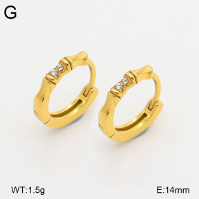 2E4005285ahjb-226  Stainless Steel Earrings