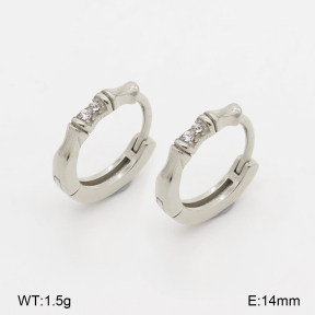 2E4005286vhha-226  Stainless Steel Earrings