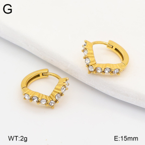 2E4005287vhkb-226  Stainless Steel Earrings