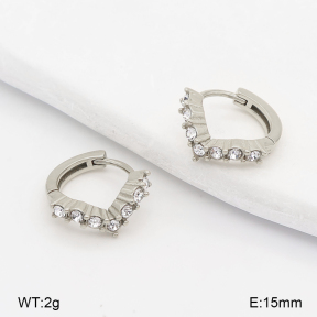 2E4005288bhia-226  Stainless Steel Earrings
