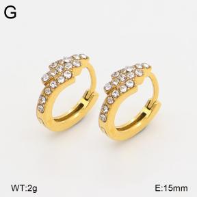 2E4005289vhkb-226  Stainless Steel Earrings